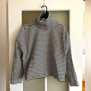 Everlane The Turtleneck Sweatshirt